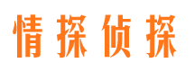 隆德市私家侦探